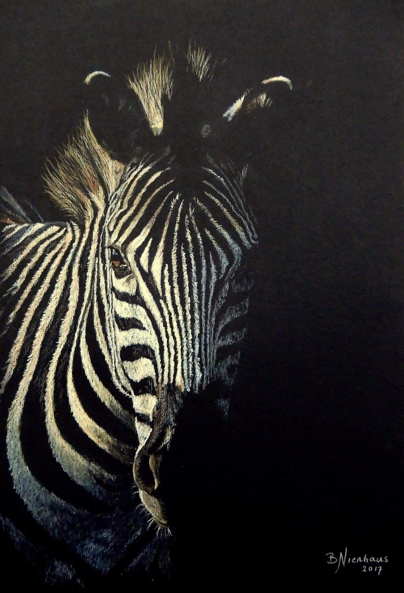 20-Zebra
