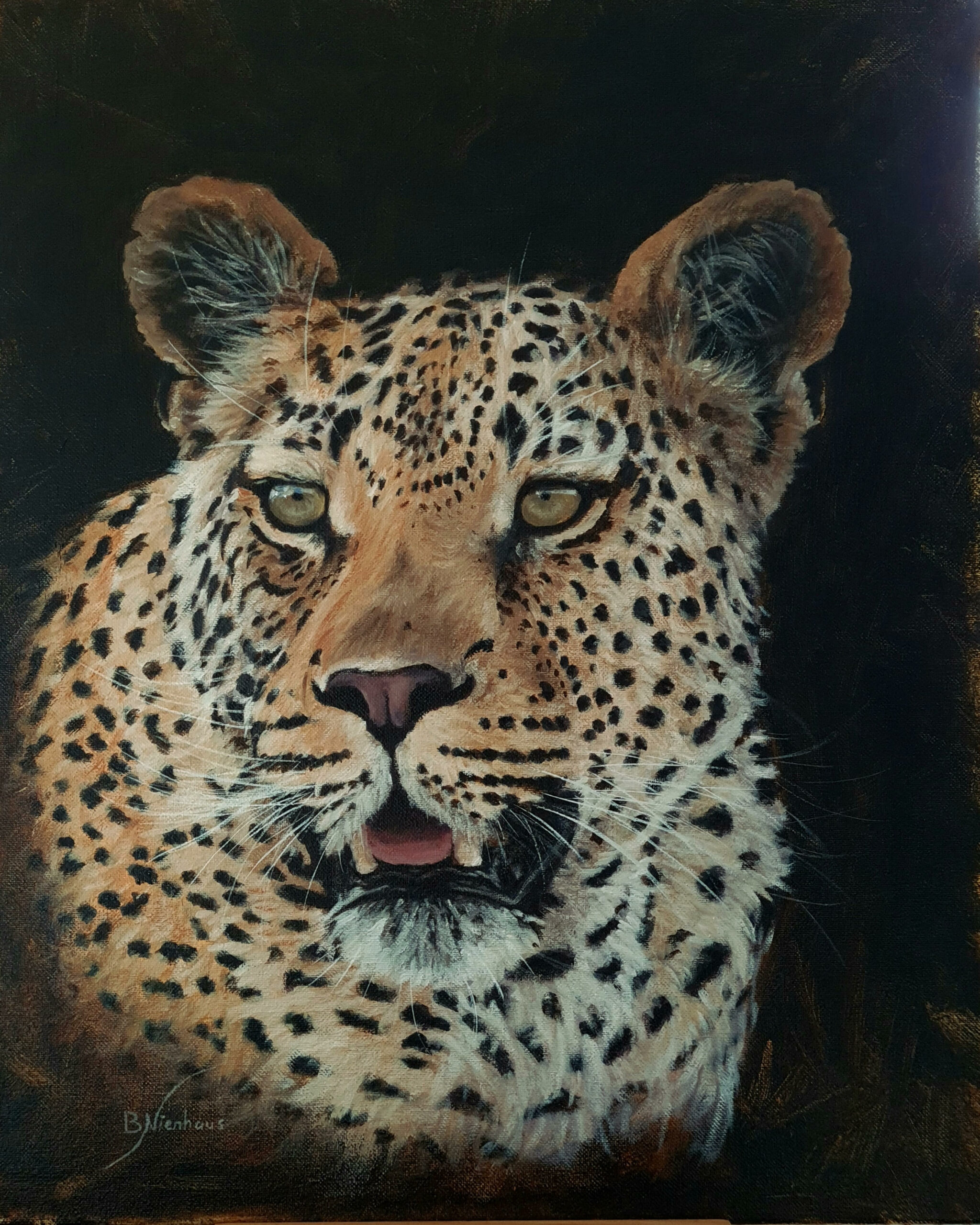 27-Leopard