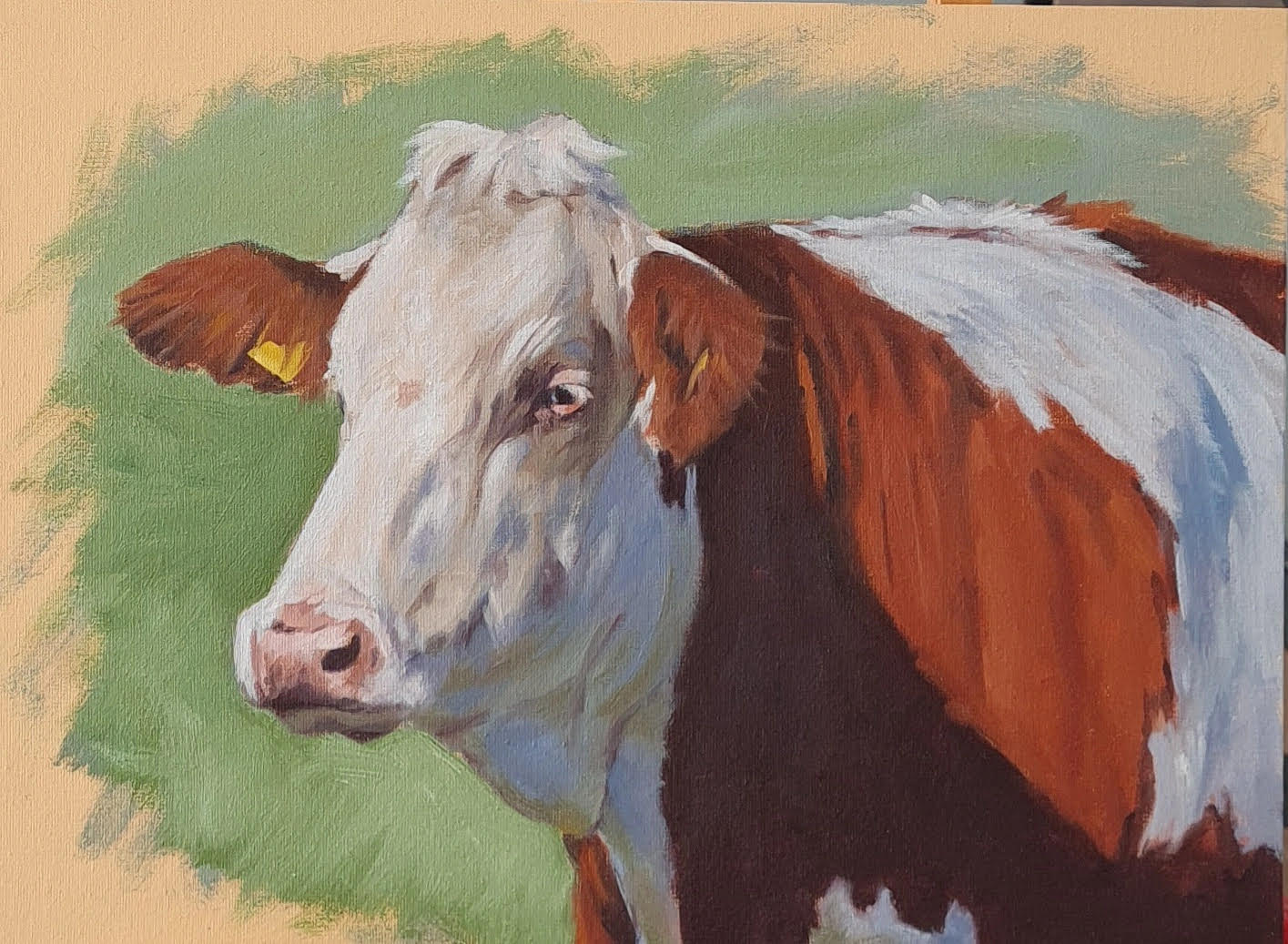 31-Cow study