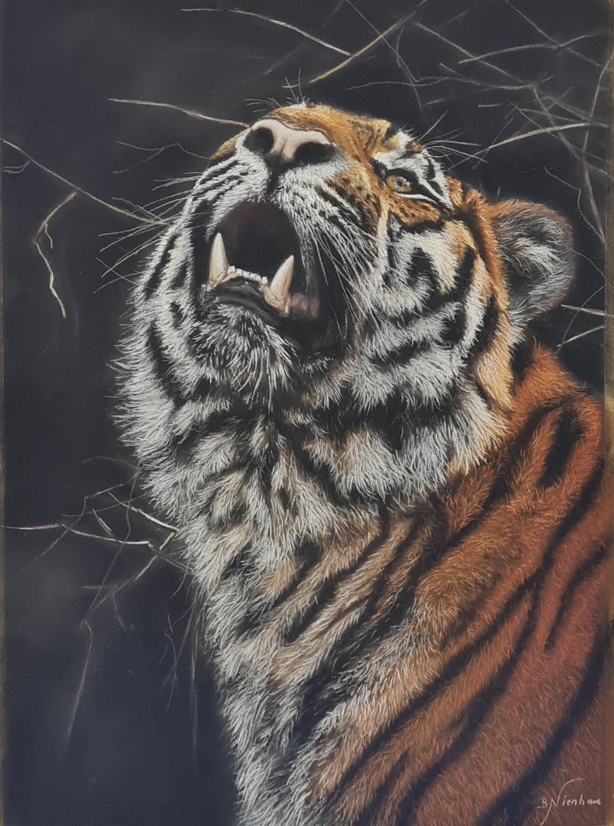 34-Siberian tiger
