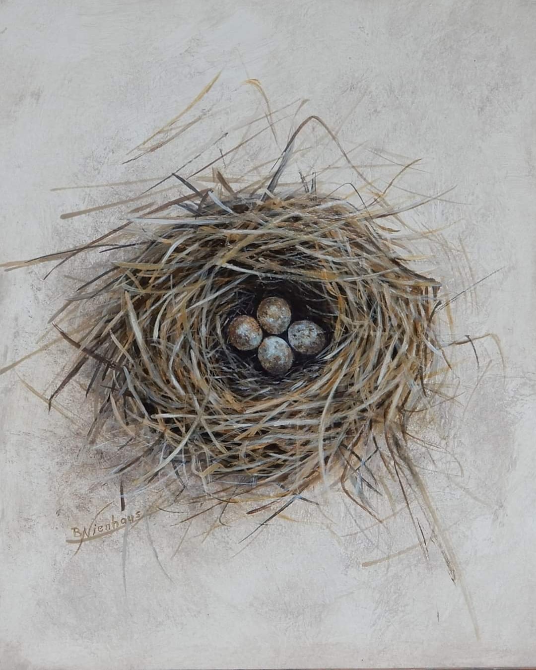 36-Bird nest